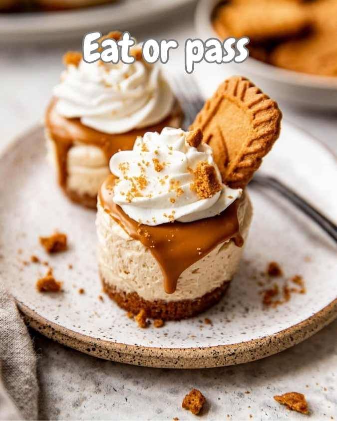 No Bake Mini Biscoff Cheesecakes 🍪🍯✨ 560034632_731657899886980_3045659103100094980_n