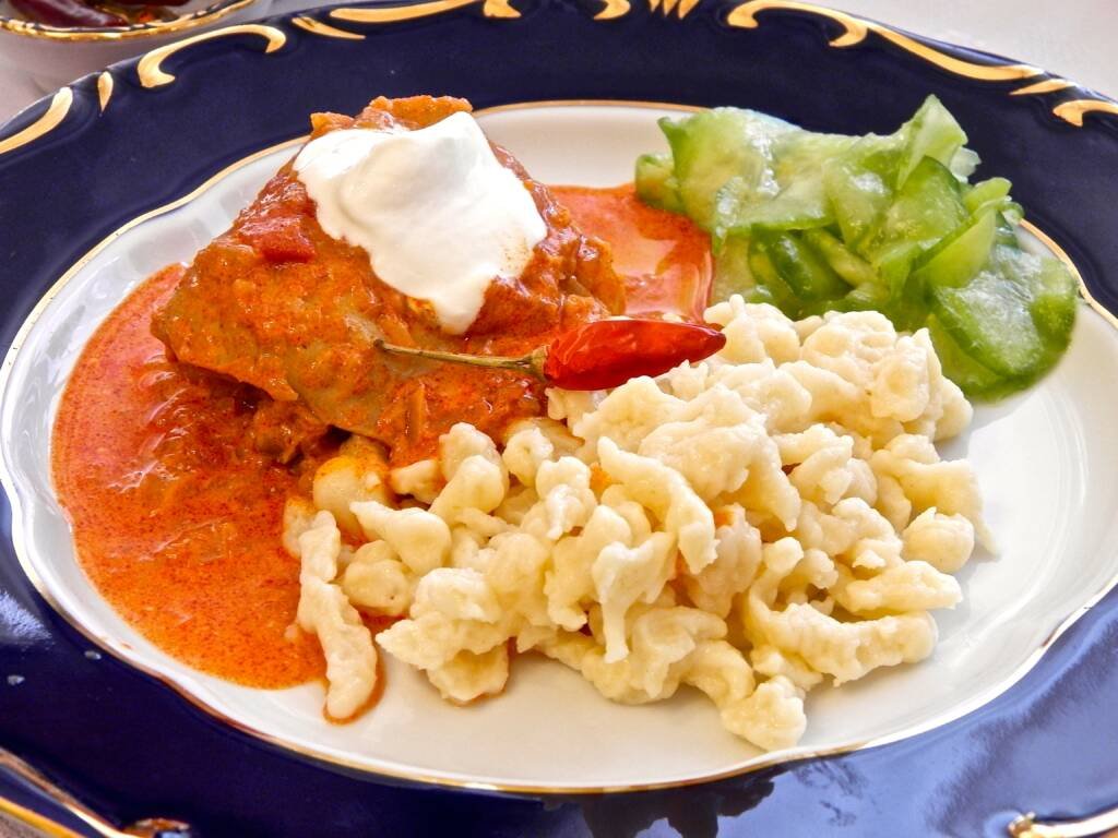 Hungarian Chicken Paprikas with Spaetzle🇭🇺 OLYMPUS DIGITAL CAMERA