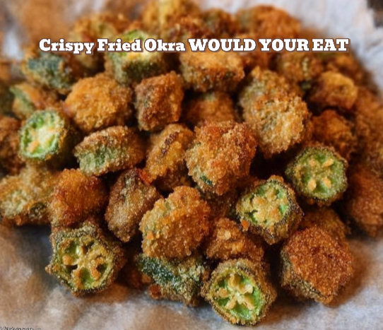 Crispy Fried Okra for Two – Southern Comfort Made Easy 🌿🍴 Capture d’écran 2026-01-04 211233